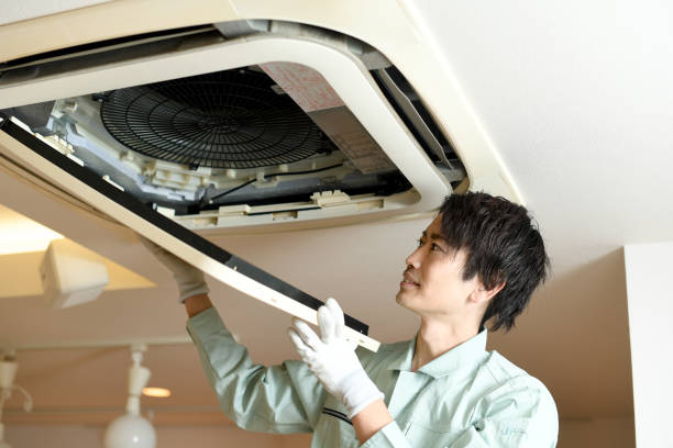 Best Local Air Duct Cleaning Services  in Paloma Creek South, TX